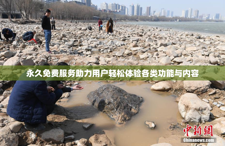 永久免费服务助力用户轻松体验各类功能与内容
