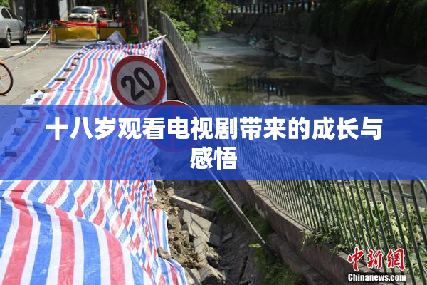 十八岁观看电视剧带来的成长与感悟
