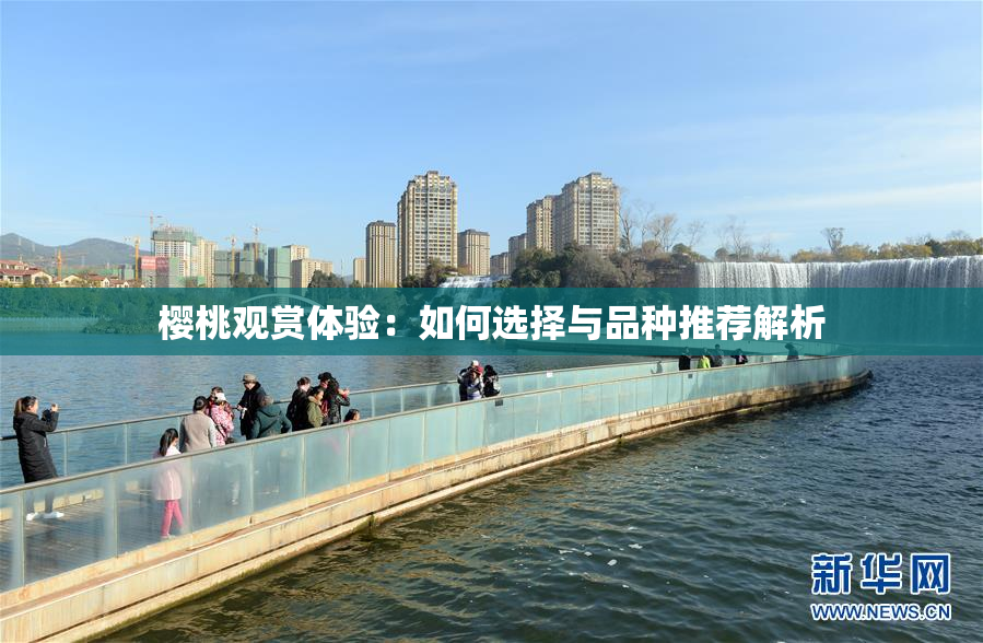 樱桃观赏体验：如何选择与品种推荐解析