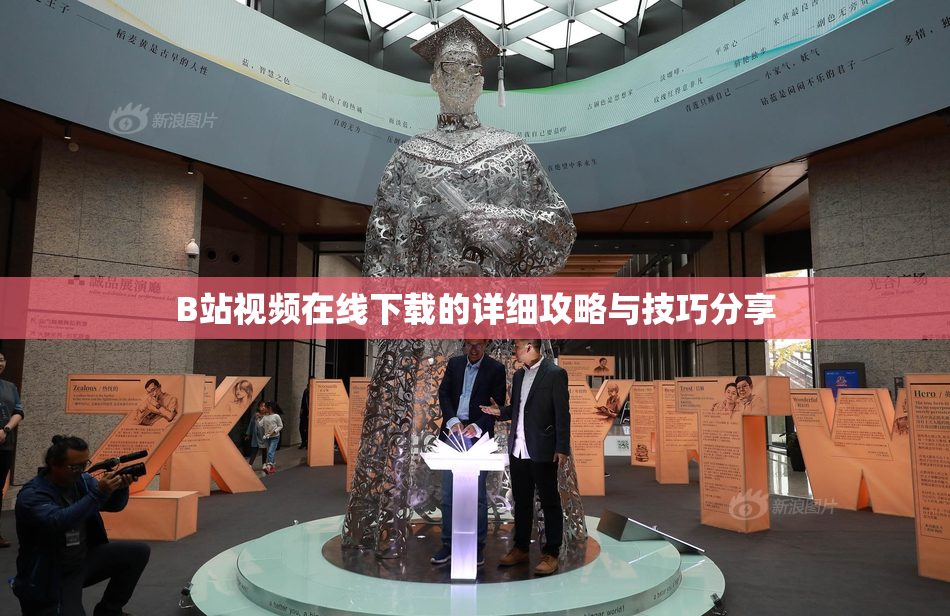 B站视频在线下载的详细攻略与技巧分享