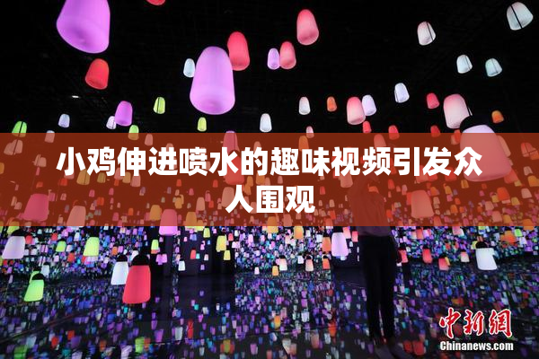小鸡伸进喷水的趣味视频引发众人围观