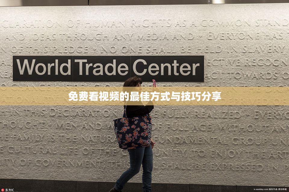 免费看视频的最佳方式与技巧分享