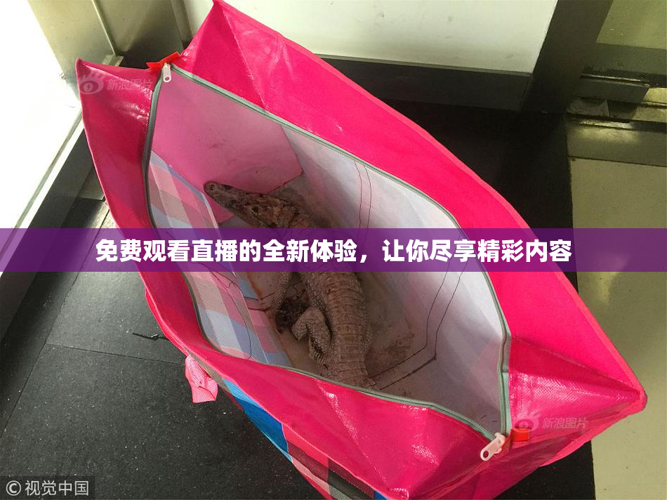 免费观看直播的全新体验，让你尽享精彩内容