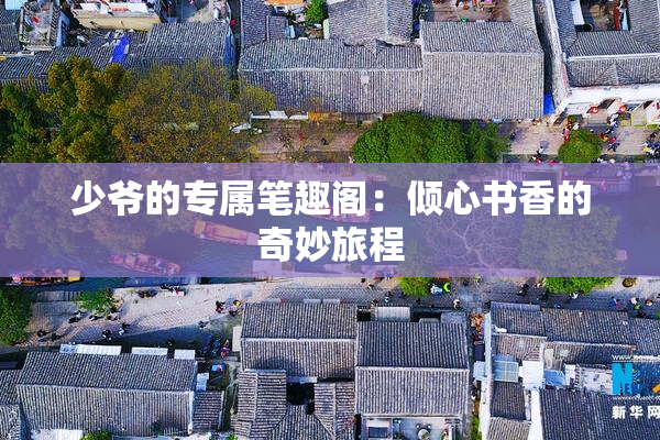 少爷的专属笔趣阁：倾心书香的奇妙旅程