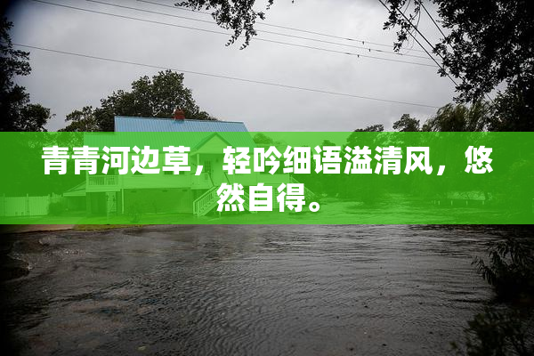青青河边草，轻吟细语溢清风，悠然自得。