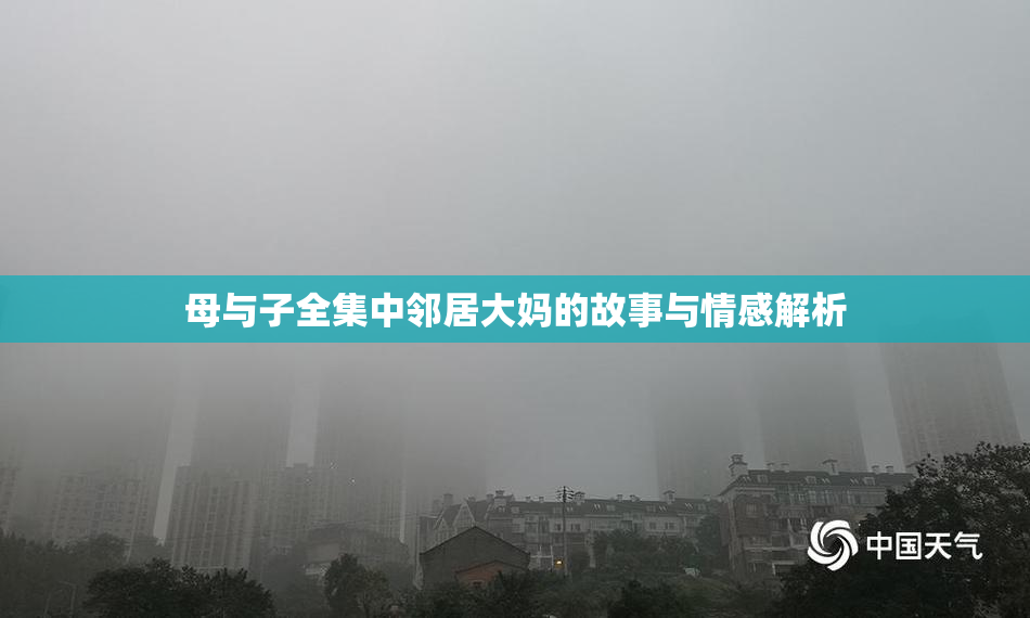 母与子全集中邻居大妈的故事与情感解析