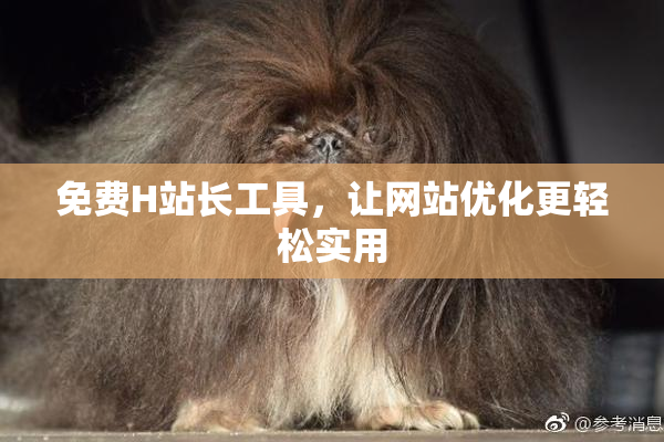 免费H站长工具，让网站优化更轻松实用