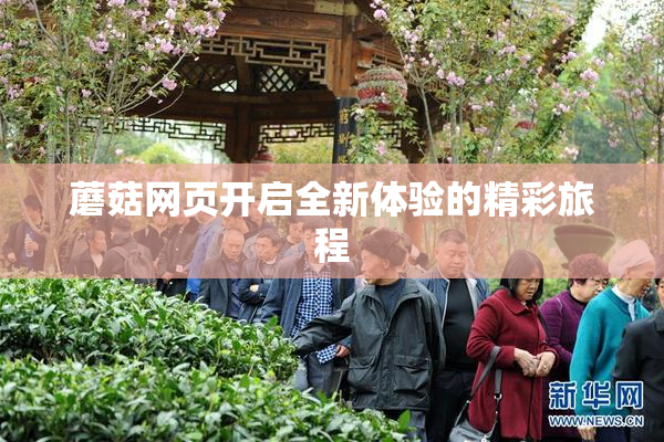 蘑菇网页开启全新体验的精彩旅程