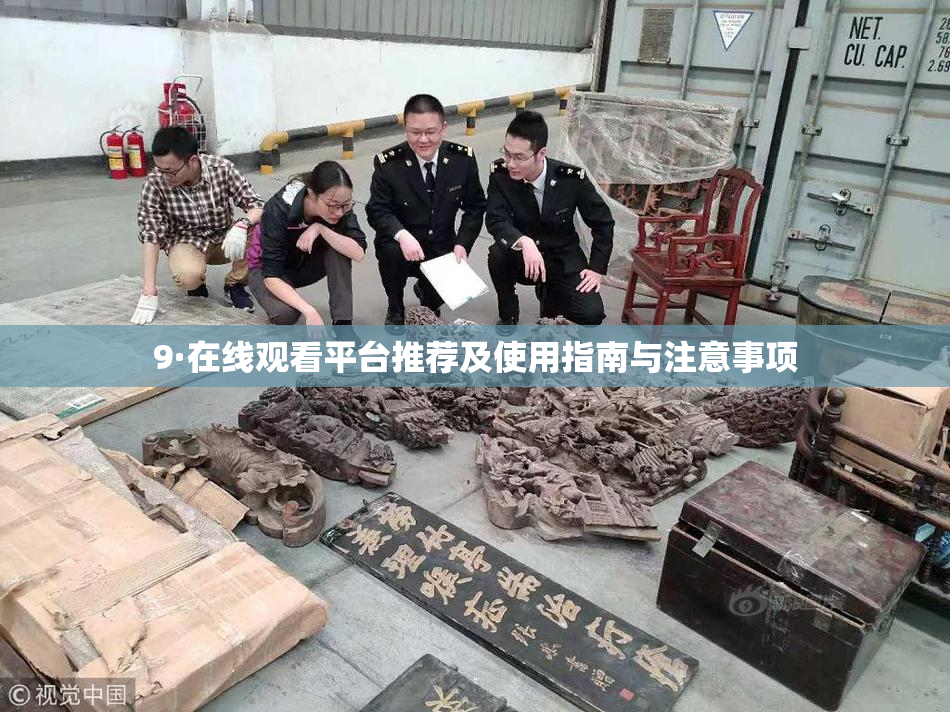 9·在线观看平台推荐及使用指南与注意事项