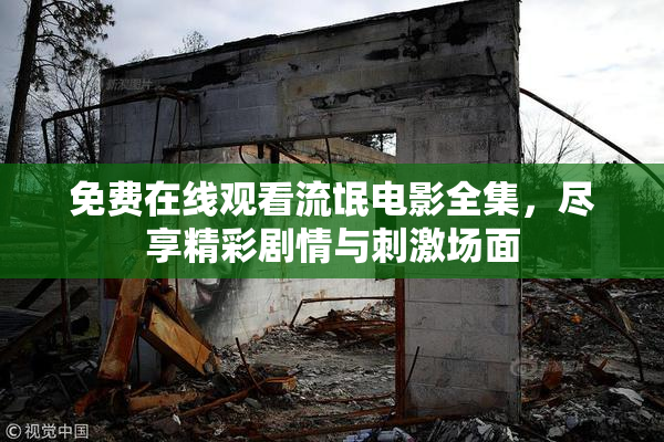 免费在线观看流氓电影全集，尽享精彩剧情与刺激场面