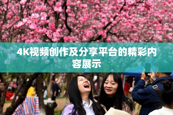 4K视频创作及分享平台的精彩内容展示