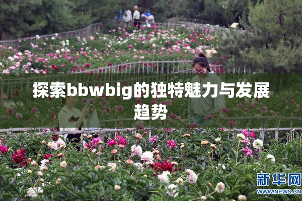探索bbwbig的独特魅力与发展趋势