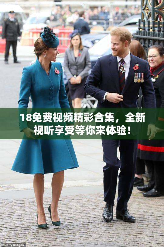18免费视频精彩合集，全新视听享受等你来体验！