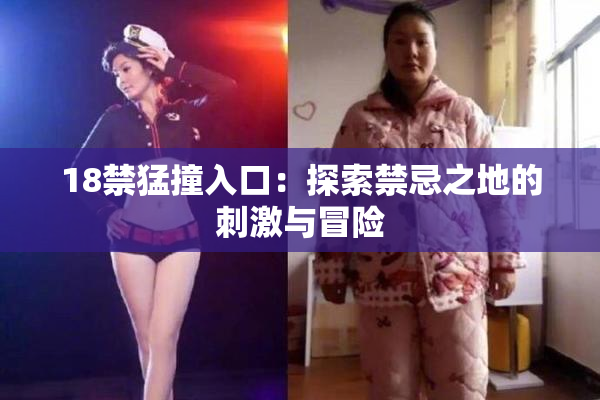 18禁猛撞入口：探索禁忌之地的刺激与冒险