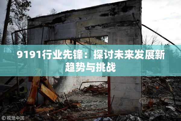 9191行业先锋：探讨未来发展新趋势与挑战