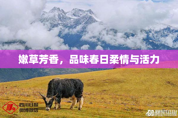 嫩草芳香，品味春日柔情与活力