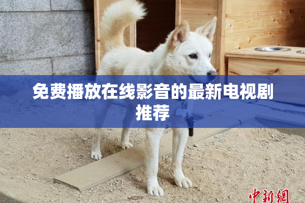 免费播放在线影音的最新电视剧推荐