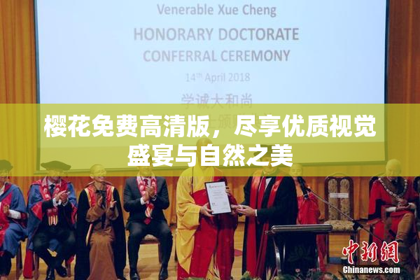 樱花免费高清版，尽享优质视觉盛宴与自然之美