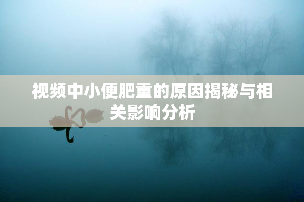 视频中小便肥重的原因揭秘与相关影响分析