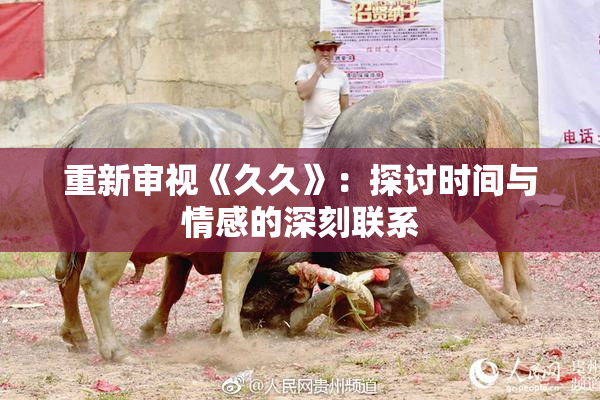 重新审视《久久》：探讨时间与情感的深刻联系