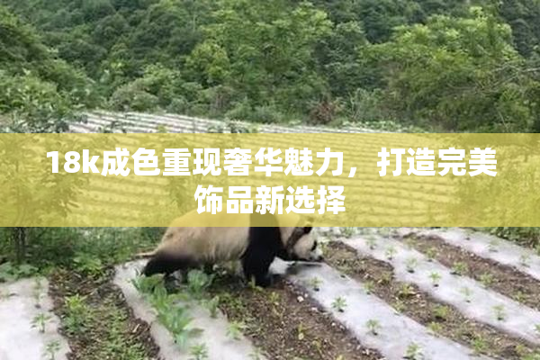 18k成色重现奢华魅力，打造完美饰品新选择