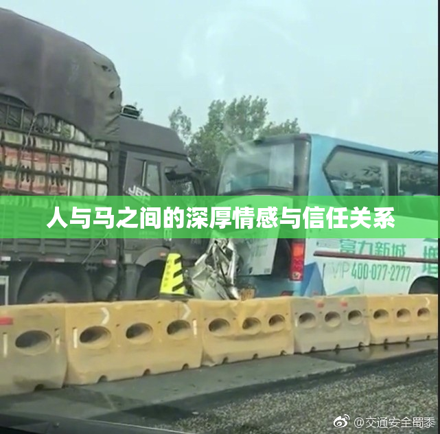 人与马之间的深厚情感与信任关系