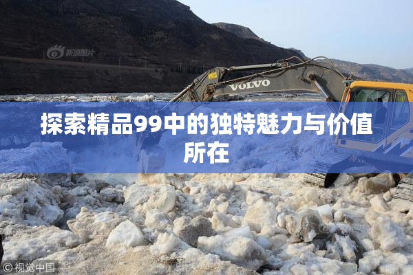 探索精品99中的独特魅力与价值所在