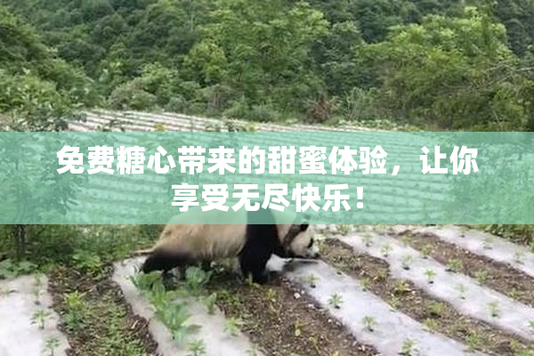 免费糖心带来的甜蜜体验，让你享受无尽快乐！