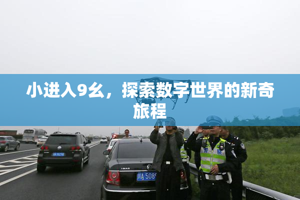 小进入9幺，探索数字世界的新奇旅程