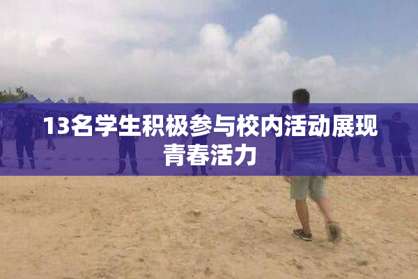 13名学生积极参与校内活动展现青春活力