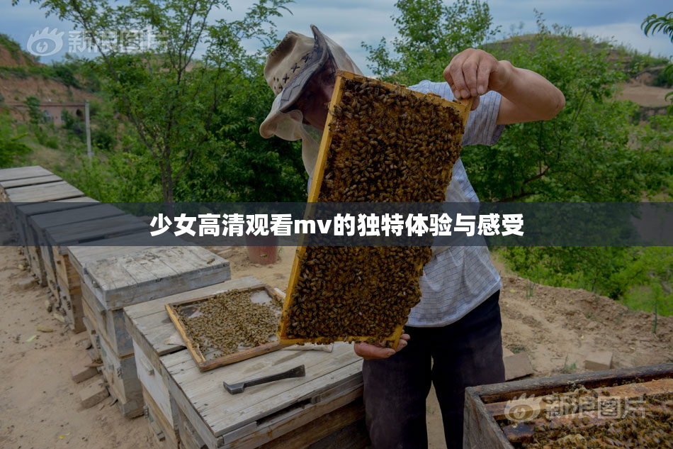 少女高清观看mv的独特体验与感受