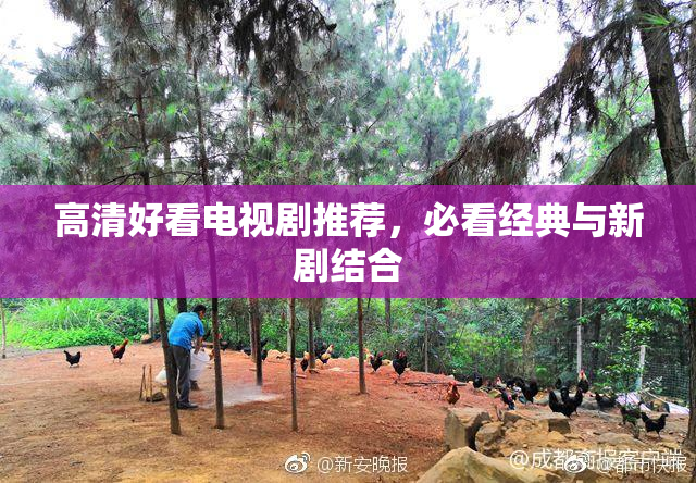 高清好看电视剧推荐，必看经典与新剧结合