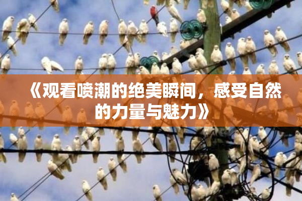 《观看喷潮的绝美瞬间，感受自然的力量与魅力》