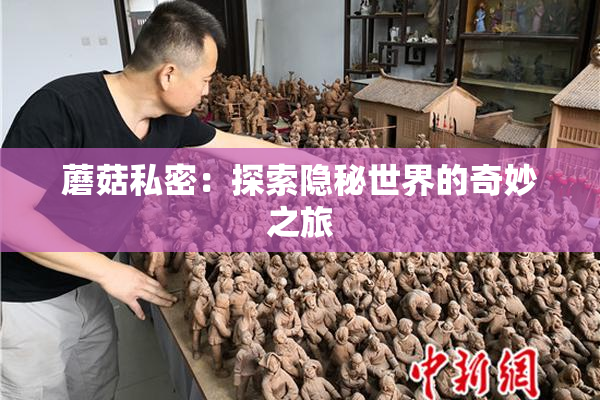 蘑菇私密：探索隐秘世界的奇妙之旅