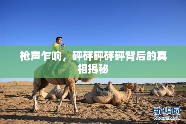 枪声乍响，砰砰砰砰砰背后的真相揭秘