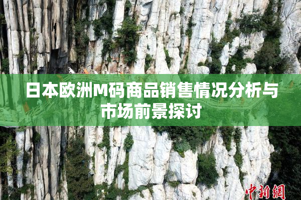 日本欧洲M码商品销售情况分析与市场前景探讨