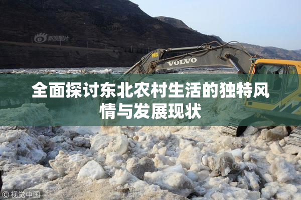 全面探讨东北农村生活的独特风情与发展现状