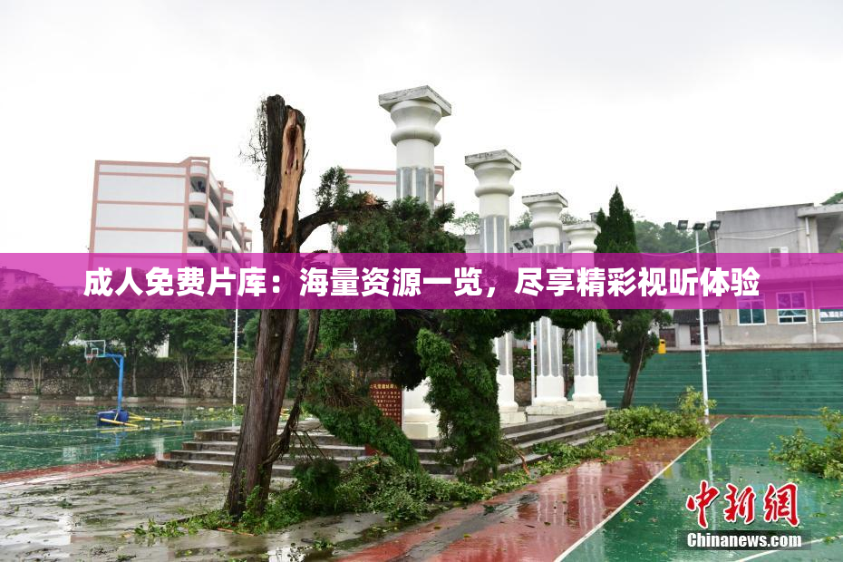 成人免费片库：海量资源一览，尽享精彩视听体验