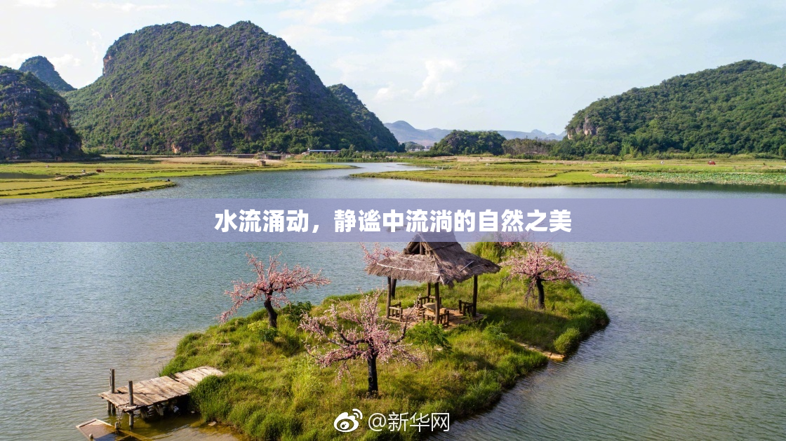 水流涌动，静谧中流淌的自然之美