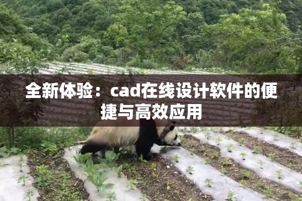 全新体验：cad在线设计软件的便捷与高效应用