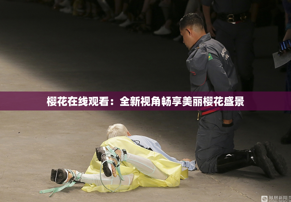 樱花在线观看：全新视角畅享美丽樱花盛景