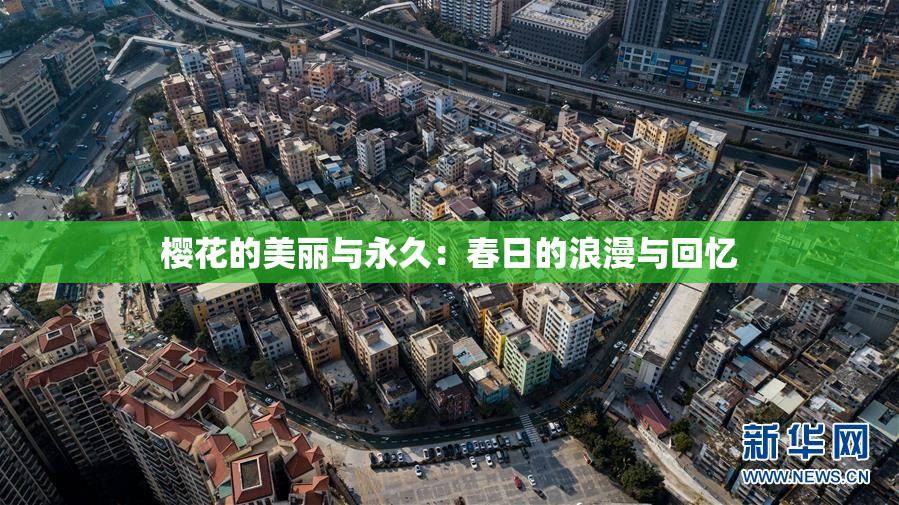 樱花的美丽与永久：春日的浪漫与回忆