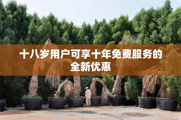 十八岁用户可享十年免费服务的全新优惠