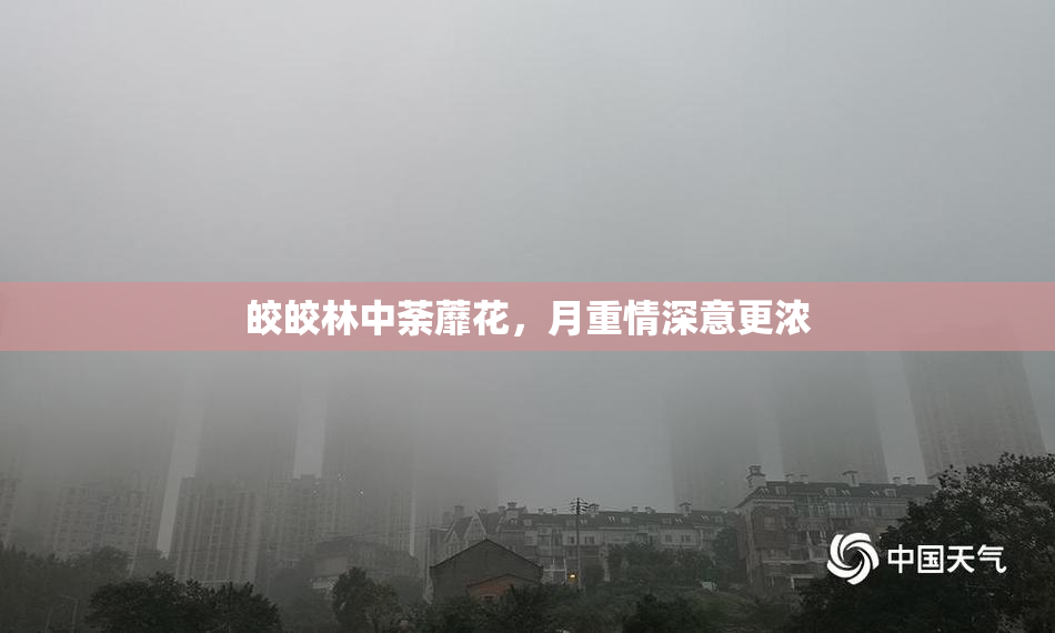 皎皎林中荼蘼花，月重情深意更浓