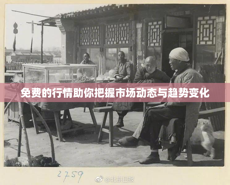 免费的行情助你把握市场动态与趋势变化