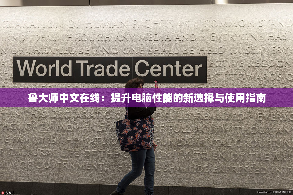 鲁大师中文在线：提升电脑性能的新选择与使用指南