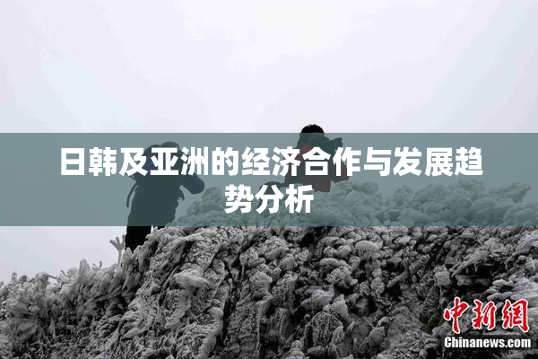 日韩及亚洲的经济合作与发展趋势分析