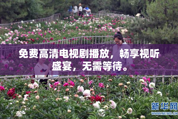 免费高清电视剧播放，畅享视听盛宴，无需等待。