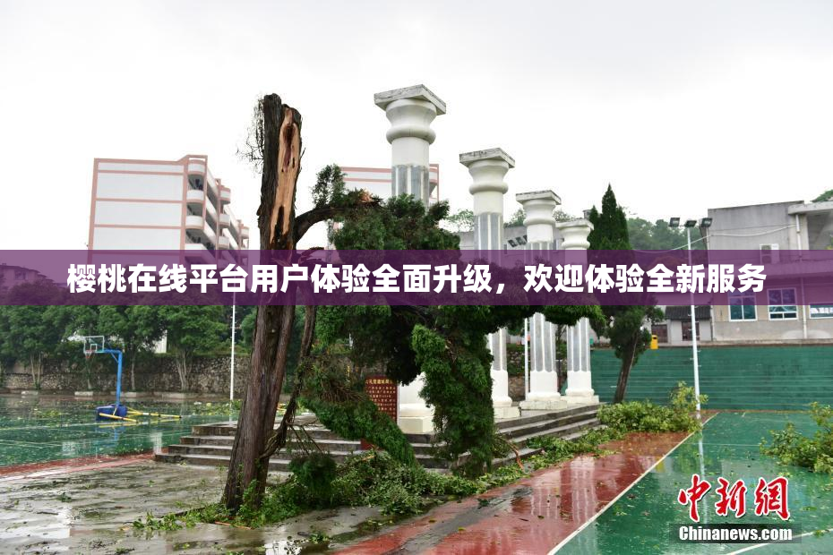 樱桃在线平台用户体验全面升级，欢迎体验全新服务