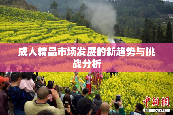 成人精品市场发展的新趋势与挑战分析